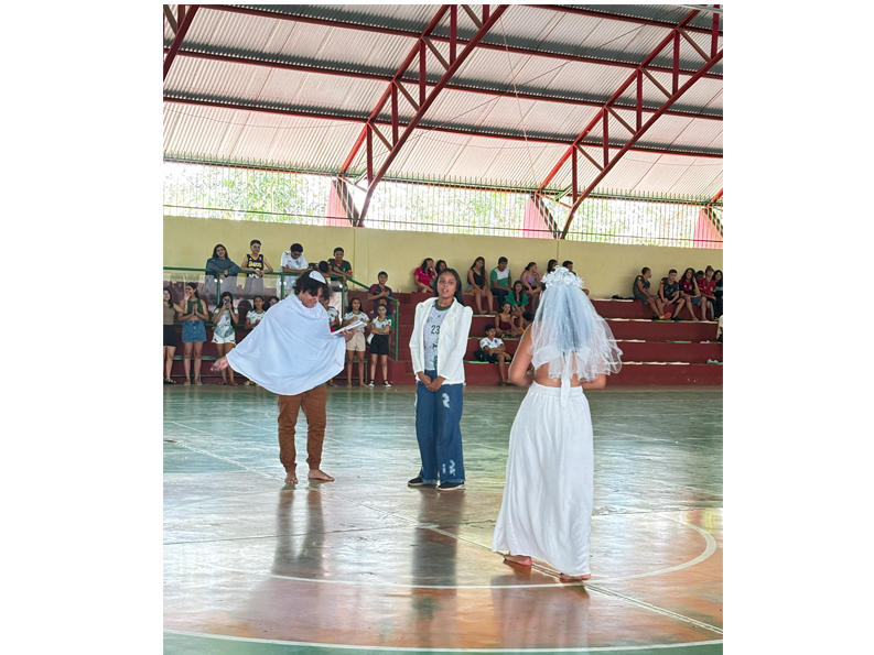 Imagem 8